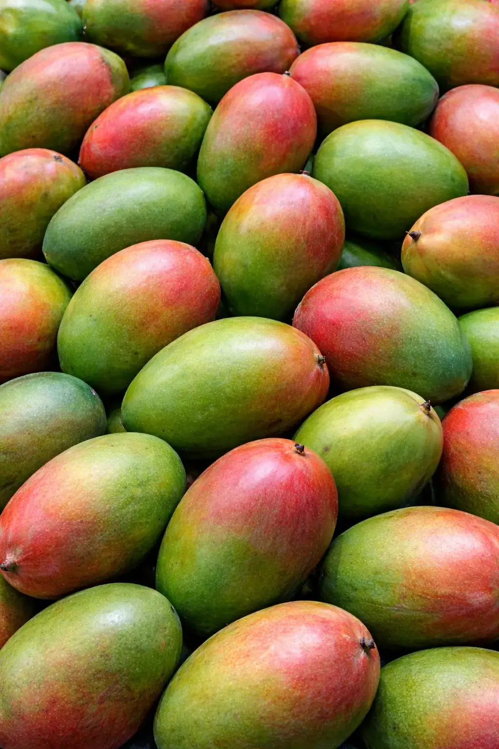 Mango Keitt